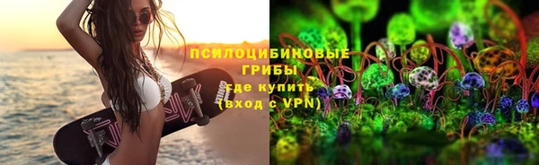 ешки Верея
