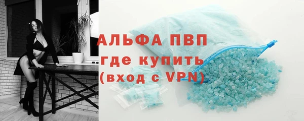 прущие грибы Богданович